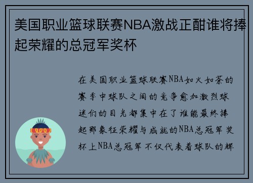 美国职业篮球联赛NBA激战正酣谁将捧起荣耀的总冠军奖杯